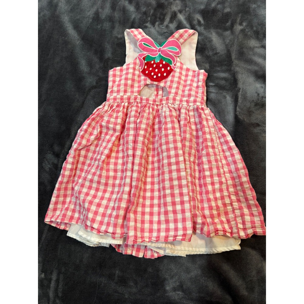 Cynthia Rowley Girls Pink Gingham Strawberry Dress Embroidered Buttons Size 6